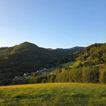 Kokuszka Village - Drewniane